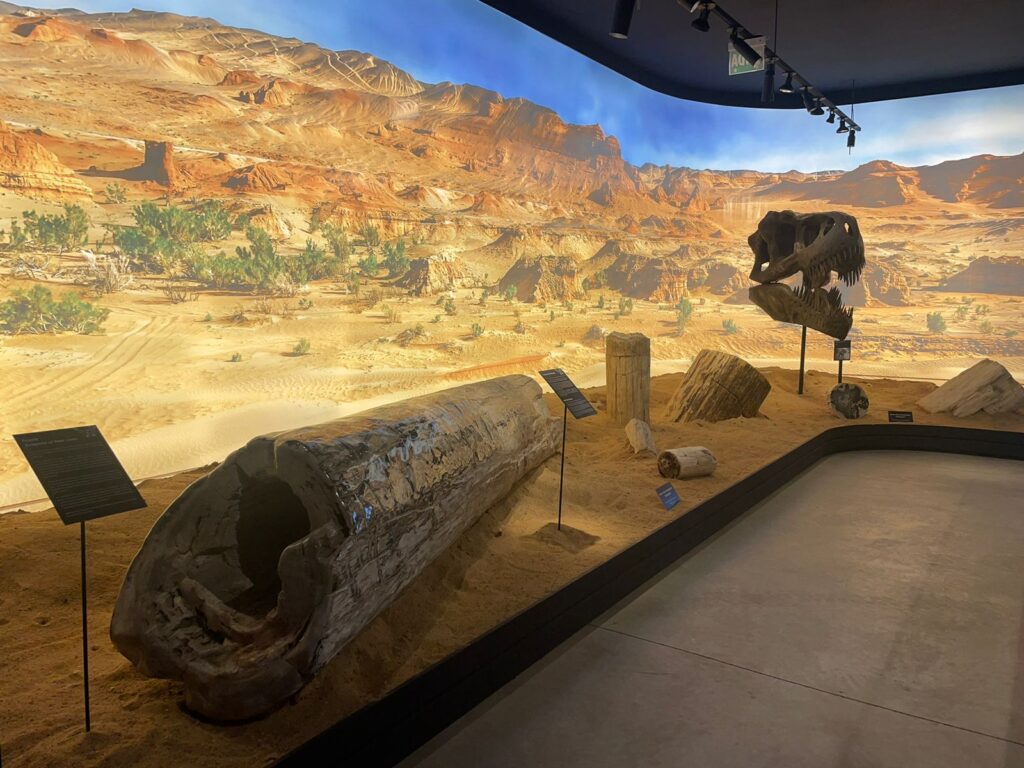Geo Museu Geo Museu
