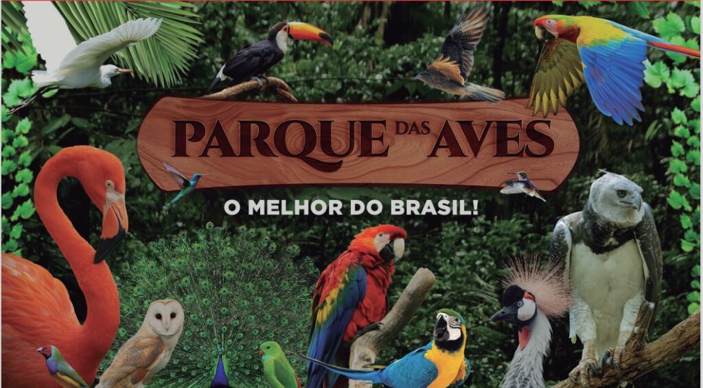 WhatsApp Image 2023 10 18 at 3.13.21 PM Parque das Aves será inaugurado em Miguel Pereira (RJ) em 2024