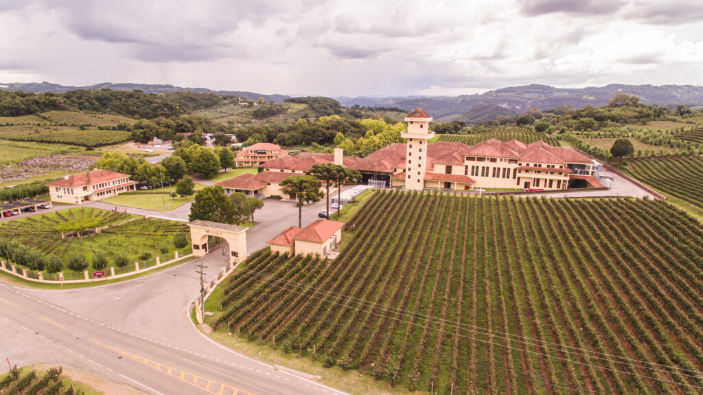 Castelo Saint Andrews recebe Miolo Wine Group no Terroir Wine Experience Castelo Saint Andrews recebe Miolo Wine Group no Terroir Wine Experience
