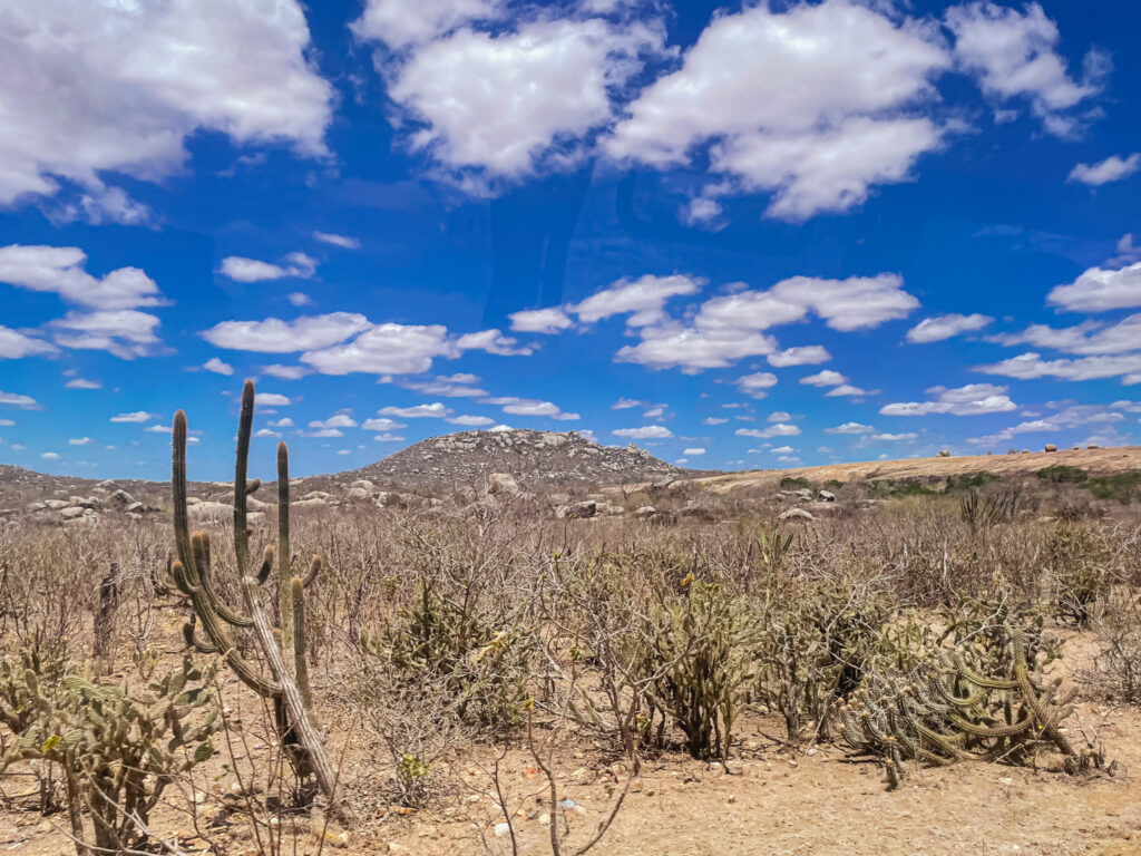 Paisagem da caatinga em Cabaceiras, na Paraíba
