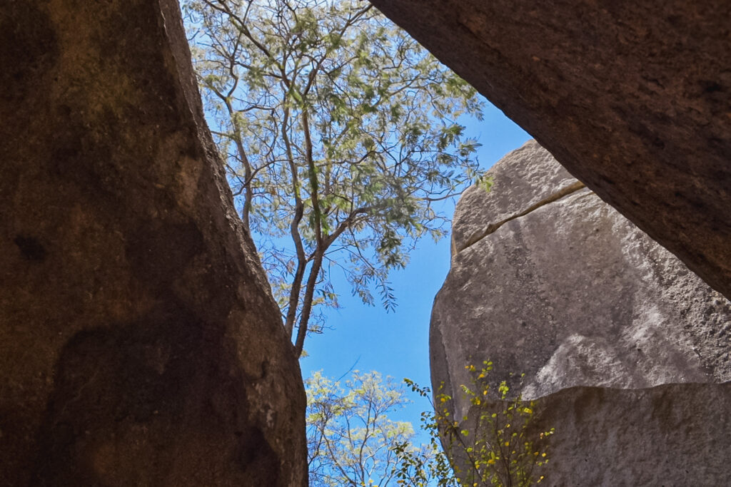 Paisagem ao longo da trilha Portal da Luz