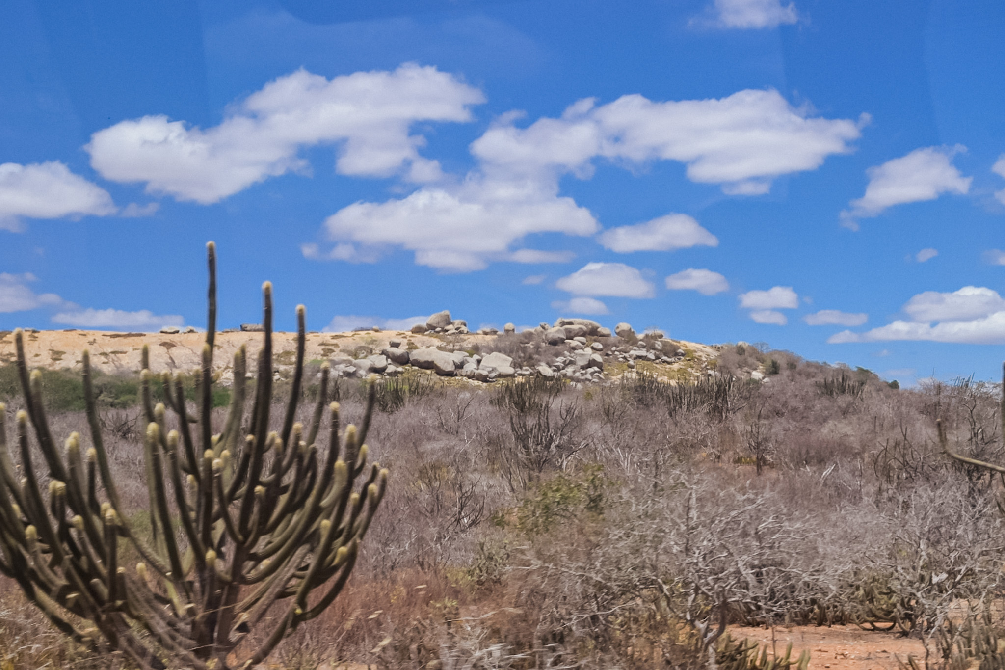 Paisagem da Caatinga Paisagem da Caatinga