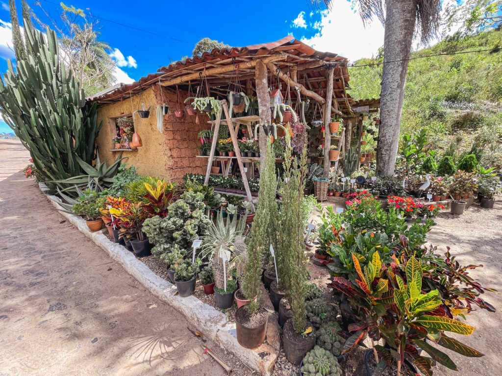 Uma parada na lojinha de plantas nos arredores do Engenho Triunfo fez parte da progrmação