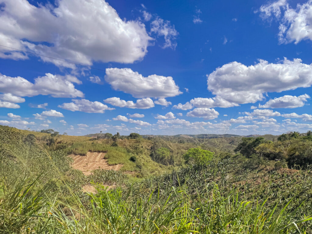 A região de Areia é chamada de Brejo e contém muita vegetação verde, além de um clima mais úmido