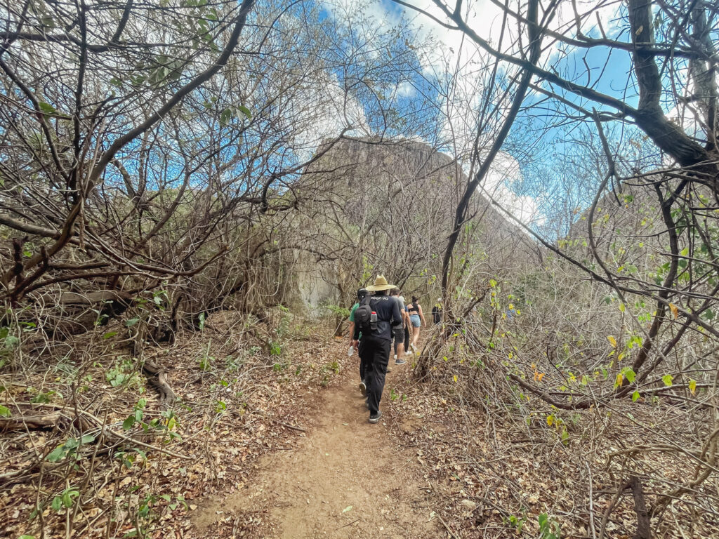 A trilha para o topo do Parque Estadual da Pedra da Boca é marcada por desníveis e mata fechada