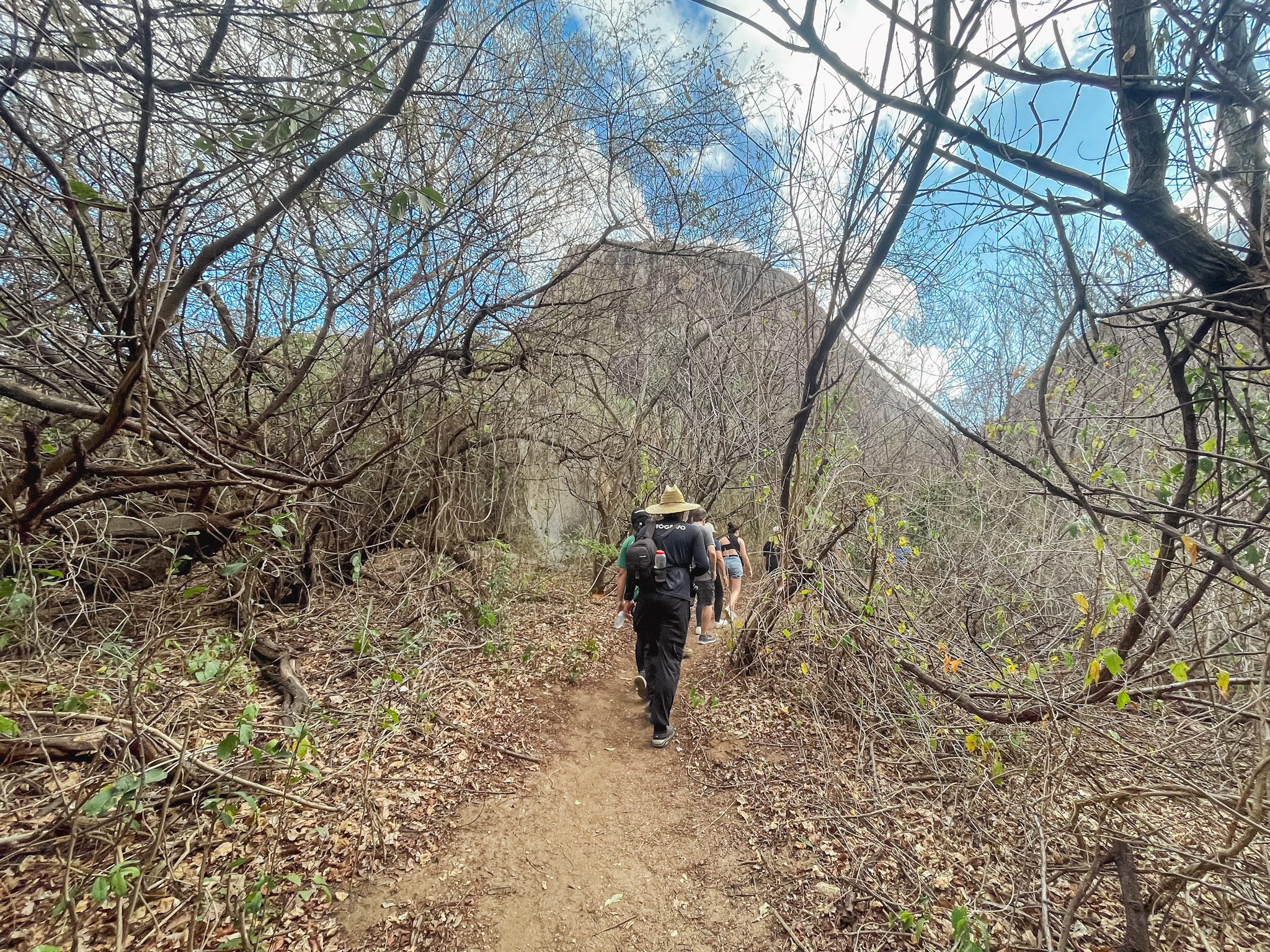 A trilha para o topo do Parque Estadual da Pedra da Boca é marcada por desníveis e mata fechada