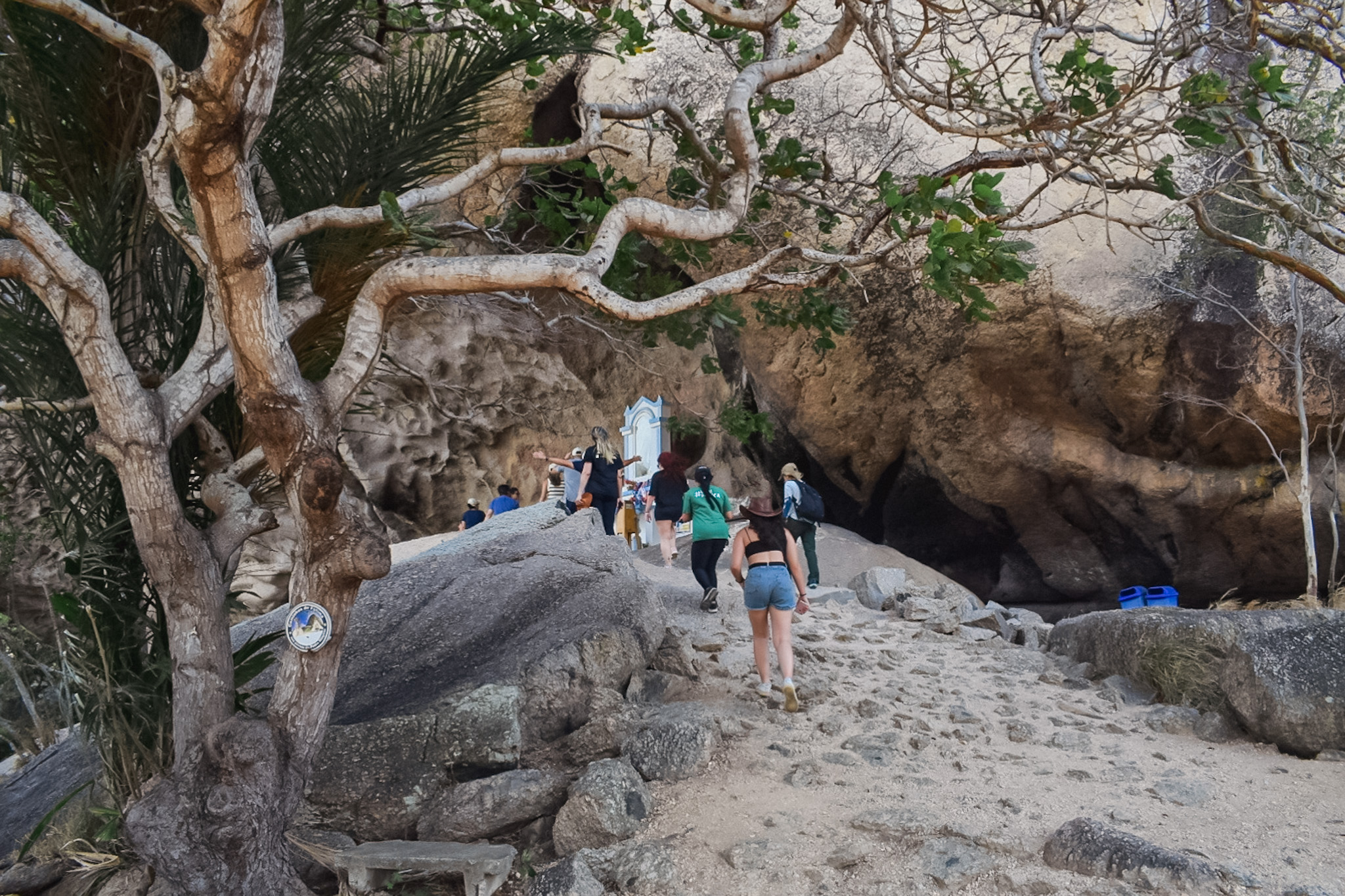 Famtour Paraíba-se fazendo trilha para o topo da Pedra da Boca