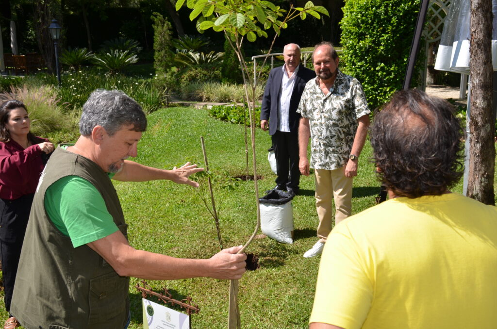Mais de 200 árvores serão plantadas no Castelo e em seu entorno Mais de 200 árvores serão plantadas no Castelo e em seu entorno