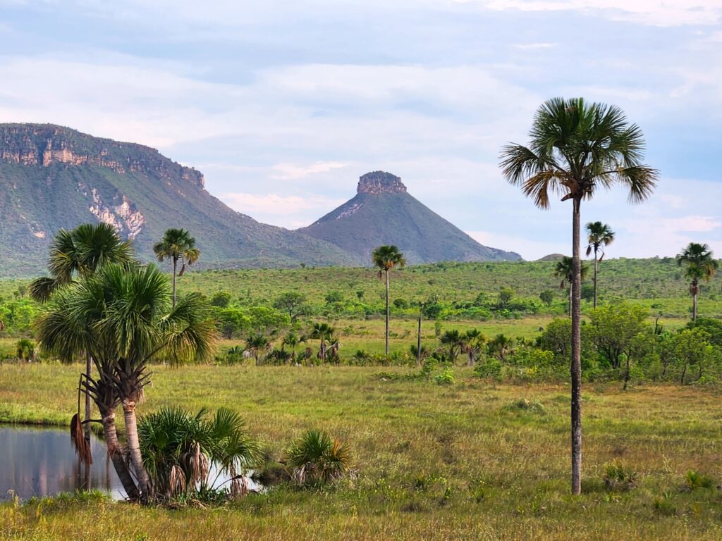 Paisagens cinematográficas