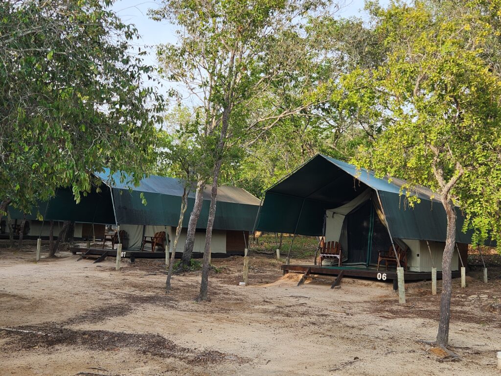 Sem Internet e luz elétrica mínima no Safari Camp