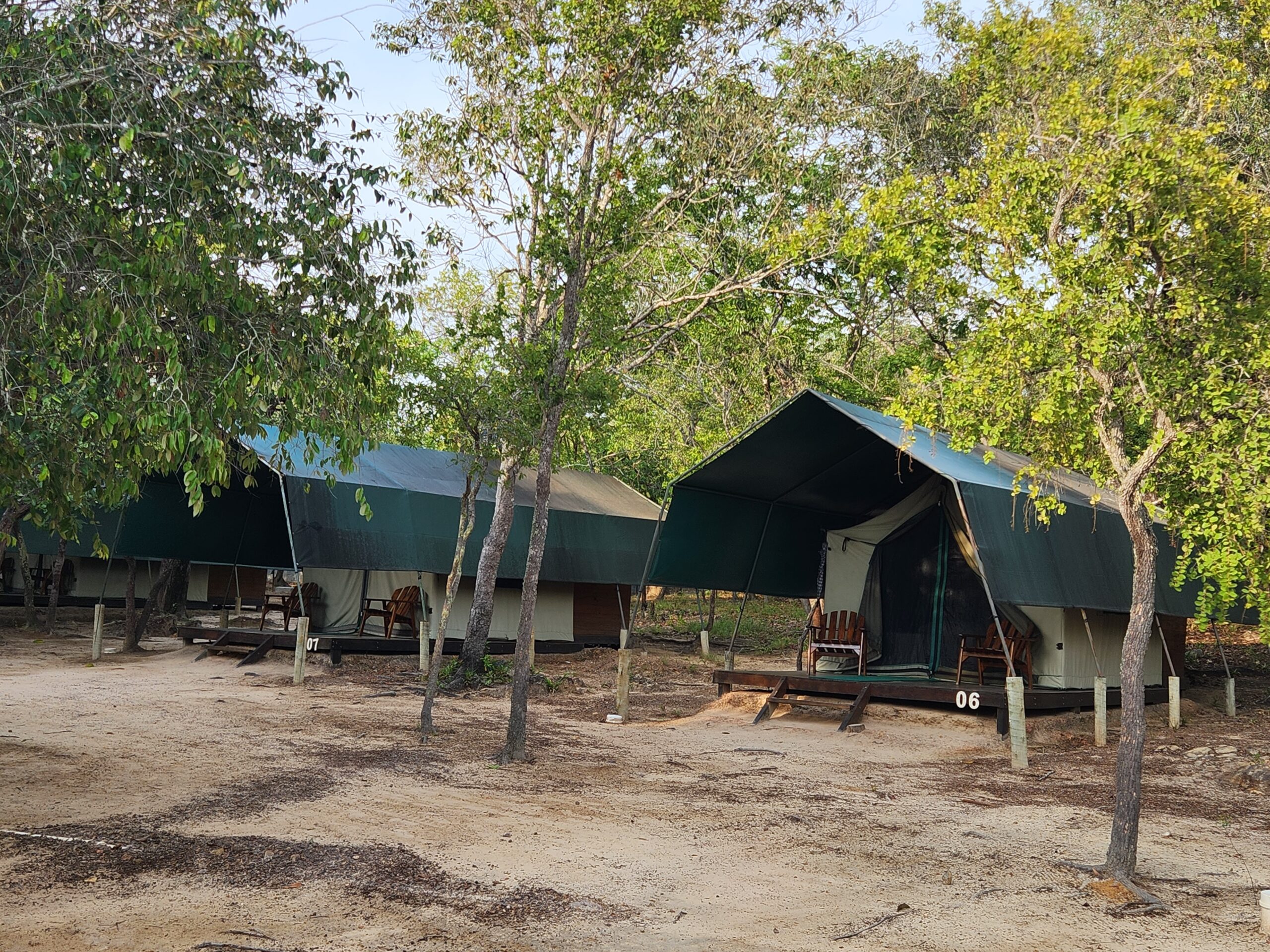 Sem Internet e luz elétrica mínima no Safari Camp