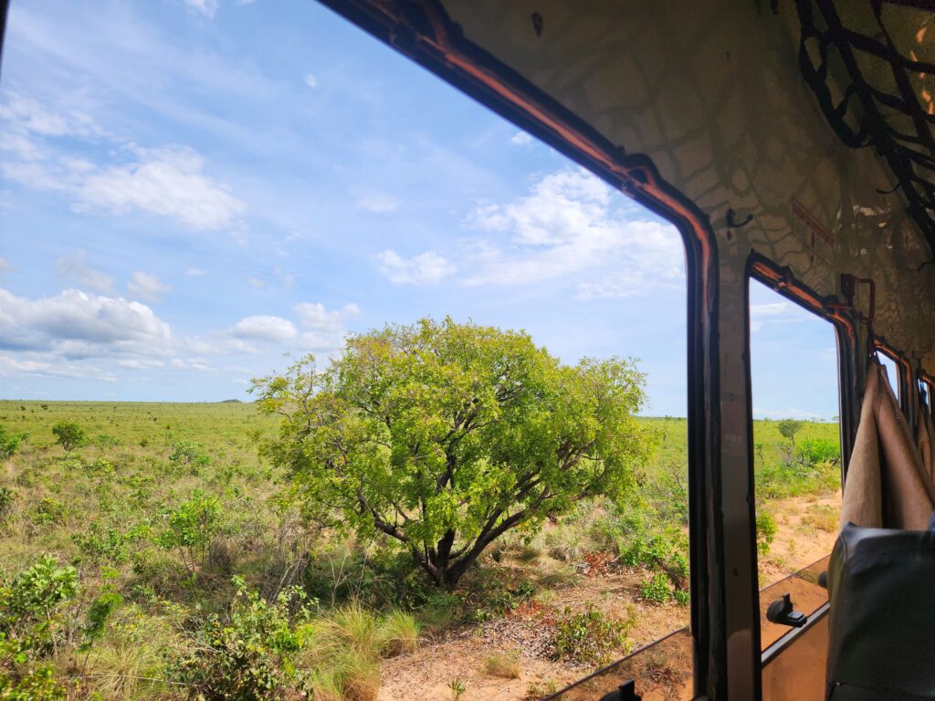 Turismo contemplativo da paisagem de Cerrado no Jalapãio