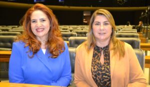 Enid Câmara é a nova presidente da Abeoc Brasil; veja diretoria para o triênio 2024-2026