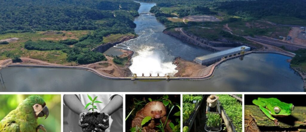 Shift Mobilidade vai neutralizar 400 toneladas de carbono de operações em 2023/24 Shift Mobilidade vai neutralizar 400 toneladas de carbono de operações em 2023/24