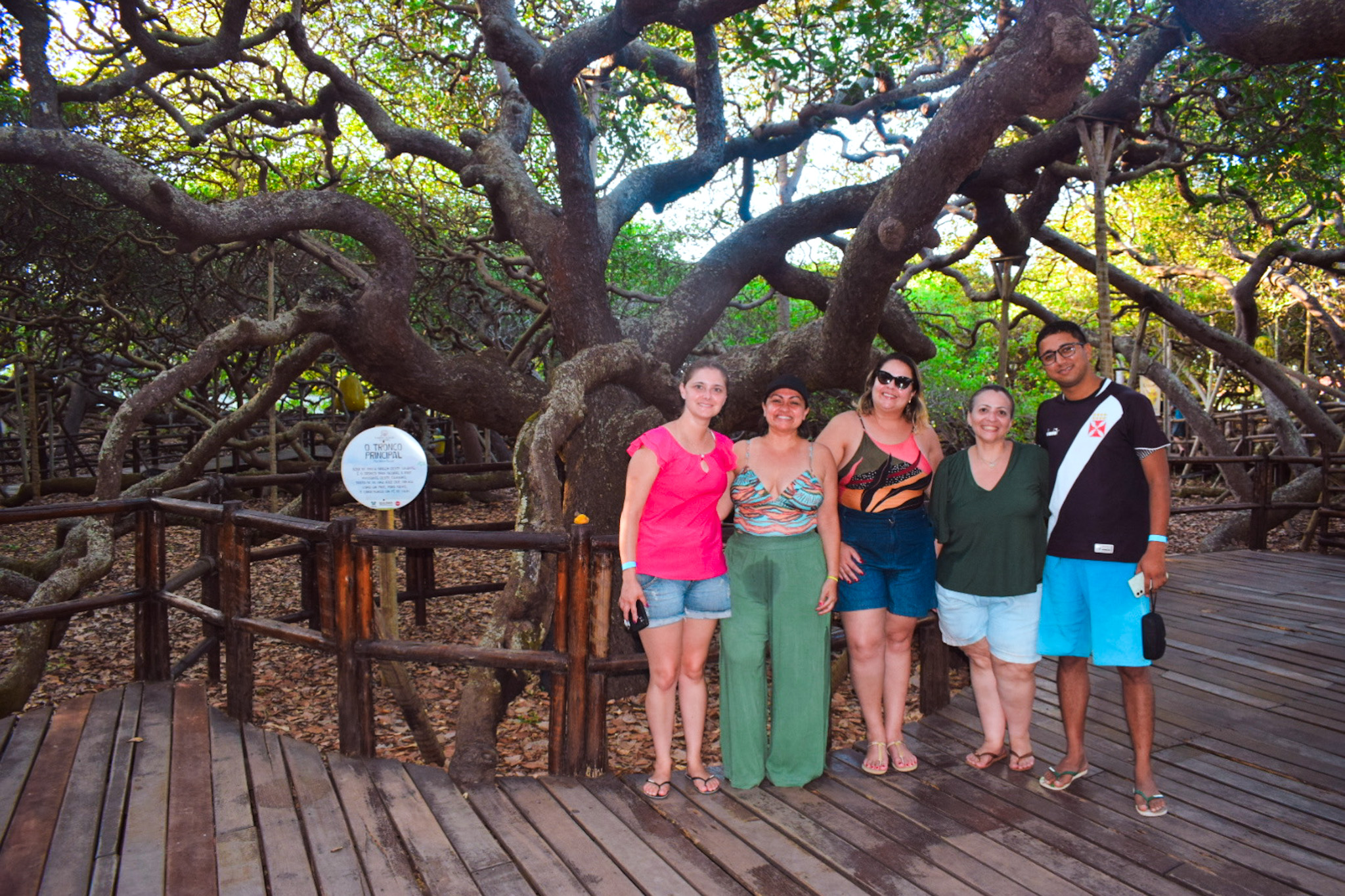A equipe da CVC acompanhou os agentes de viagens na visita ao maior cajueiro do mundo A equipe da CVC acompanhou os agentes de viagens na visita ao maior cajueiro do mundo