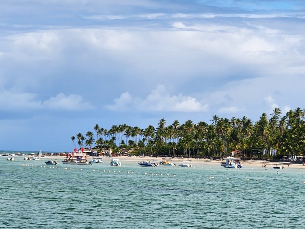 Ponta de areia com coqueiral