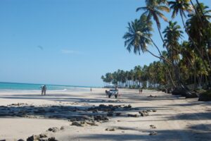 Praia quase deserta encanta os turistas