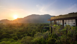 Booking.com e OMT lançam cursos on-line sobre acomodações sustentáveis
