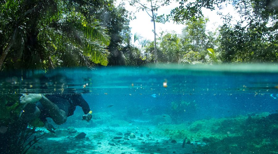 Atividades relacionadas ao meio ambiente já respondem por 60% do faturamento do Turismo no Brasil 1 Bonito MS Mato Grosso do Sul foto Flavio Andre Ministerio do Turismo Atividades relacionadas ao meio ambiente já respondem por 60% do faturamento do Turismo no Brasil