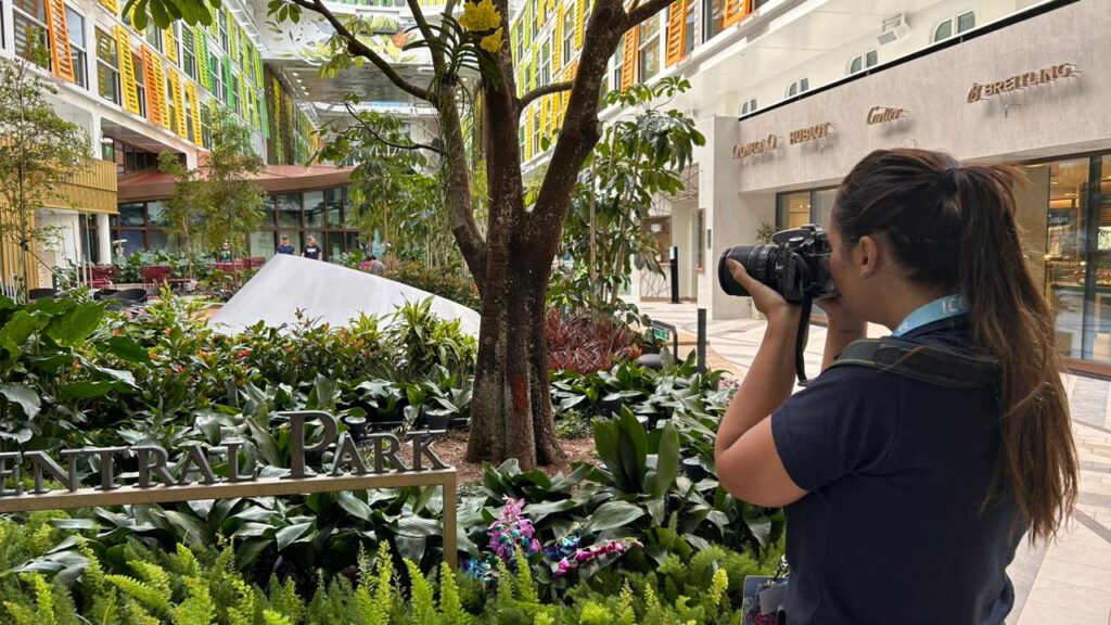 Natália Strucchi, diretora de Redação do M&E, fotografando no Central Park