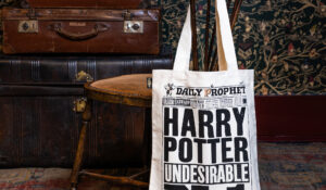 Universal Orlando Resort inaugura loja pop-up dedicada a Harry Potter e Animais Fantásticos
