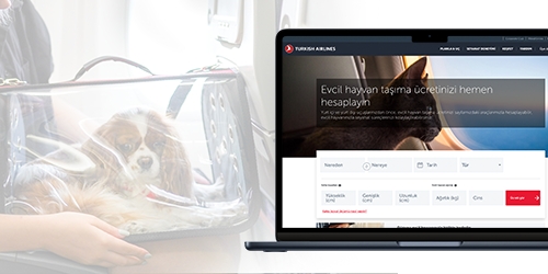 Turkish Airlines dá dez dicas para viajar com animais de estimação ao exterior 1 Picture1 Turkish Airlines dá dez dicas para viajar com animais de estimação ao exterior