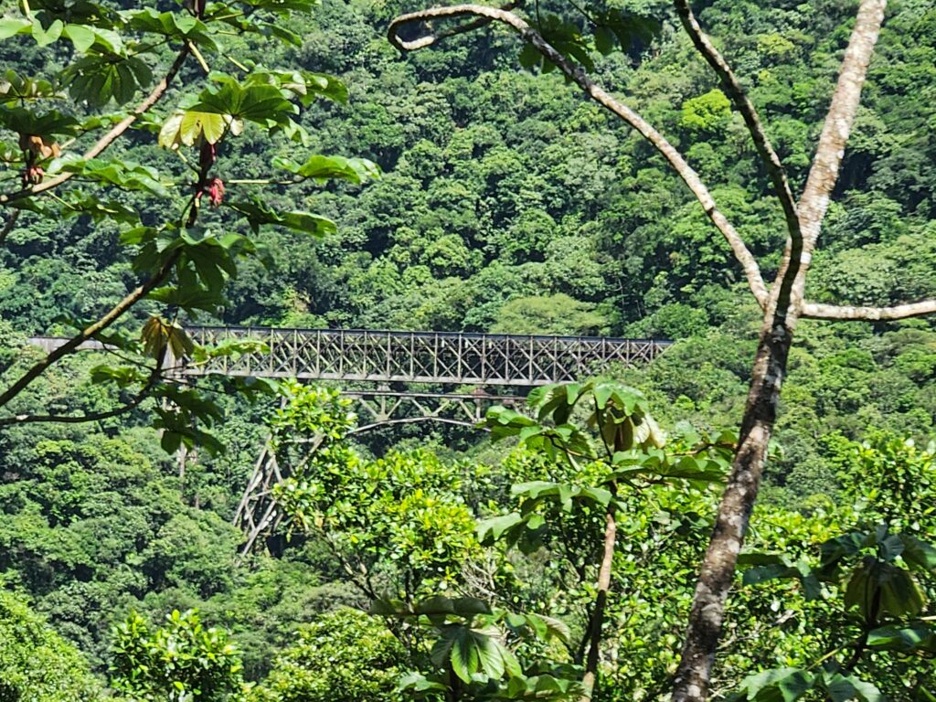 A majestosa obra dos irmãos Rebouças, a ponte de aço São João