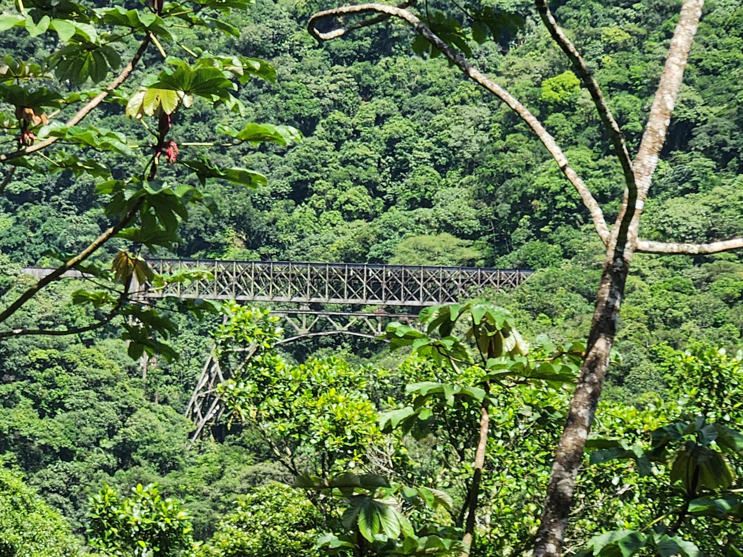 A majestosa obra dos irmãos Rebouças, a ponte de aço São João A majestosa obra dos irmãos Rebouças, a ponte de aço São João