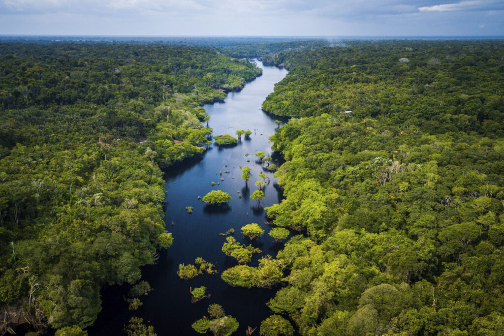 Amazonia Divulgacao MSC MSC Cruzeiros faz escalas inéditas em destinos da região Norte do Brasil