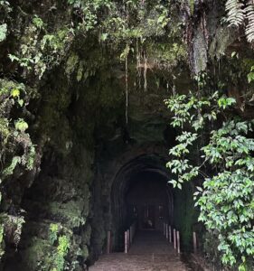 Entrada da cave Cave em túnel ferroviário, um destino diferenciado no Paraná; veja fotos