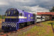 Serra Verde Express sorteia passagens de trem na Expo Turismo Paraná