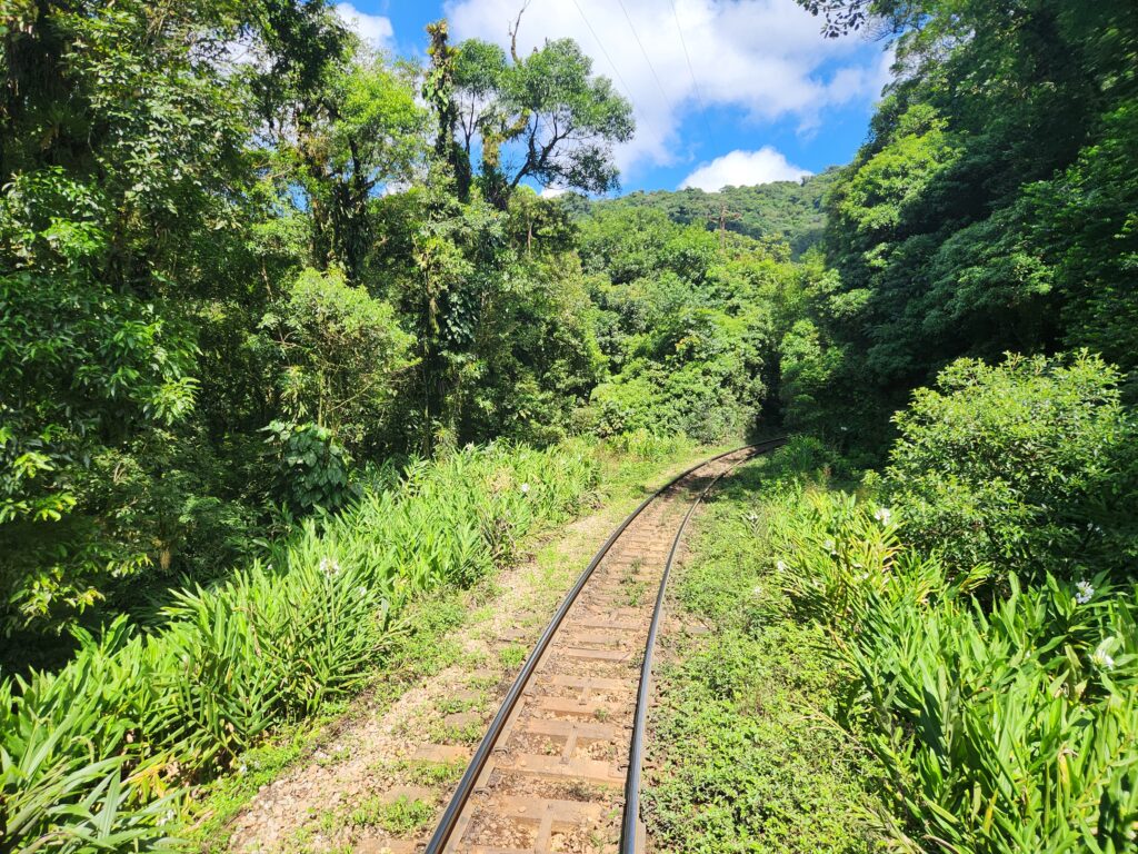 Paraiso 'instagramável'