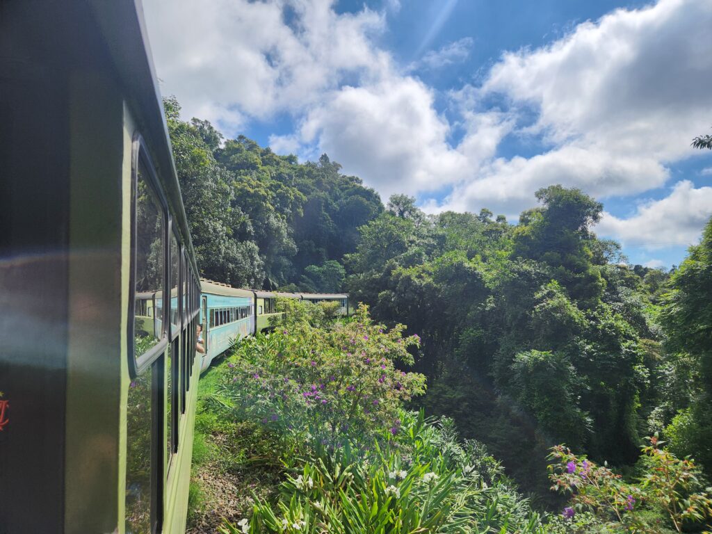 Pelas curvas da Mata Atlântica paranaense