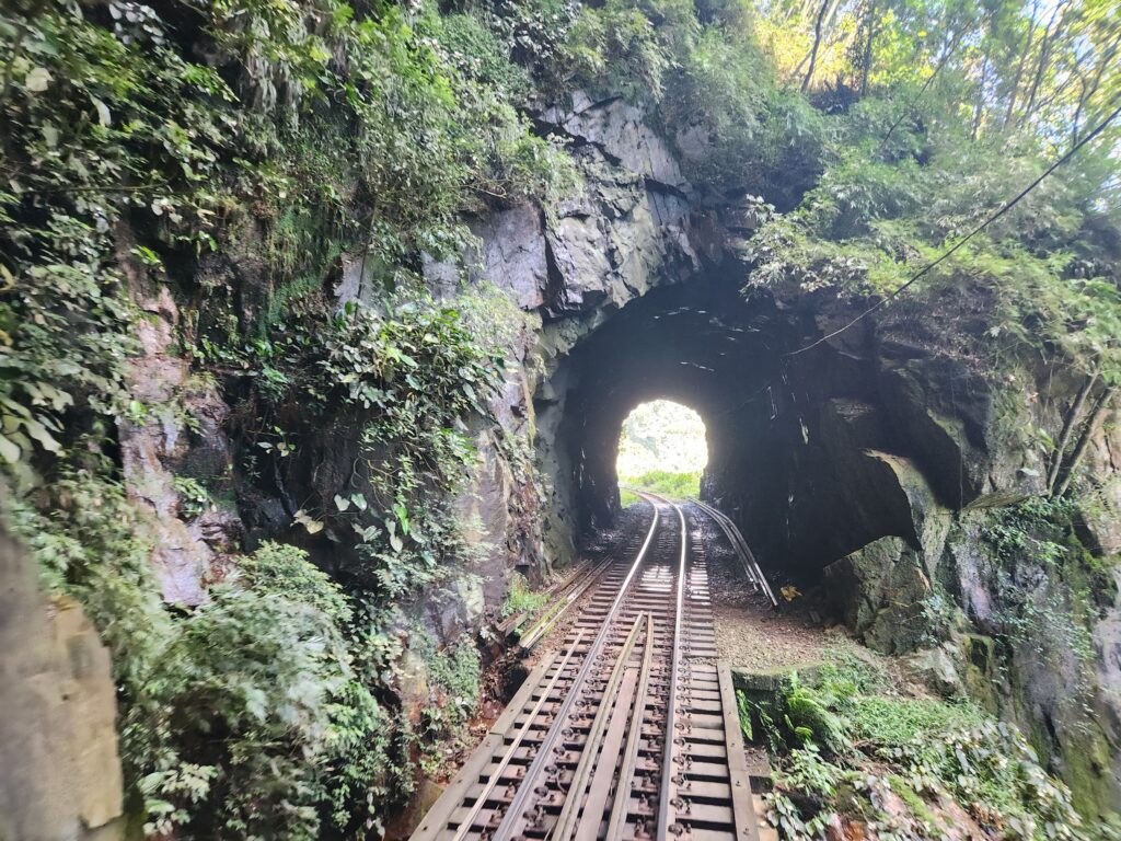 Pelos túneis da Serra do Mar