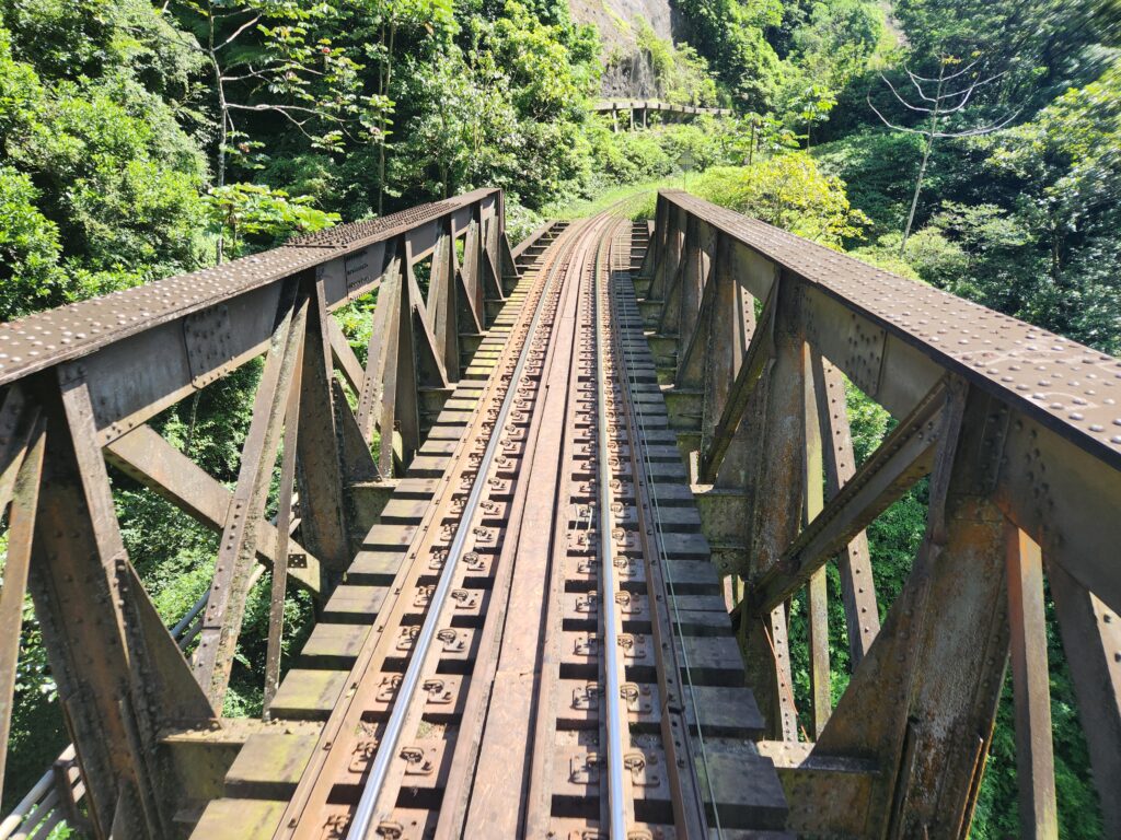 Ponte São João dos irmãos Rebouças