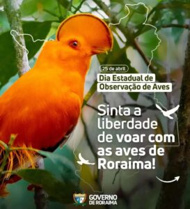 WhatsApp Image 2024 04 25 at 09.34.28 1 Roraima festeja Dia Estadual de Observação de Aves com revista especializada