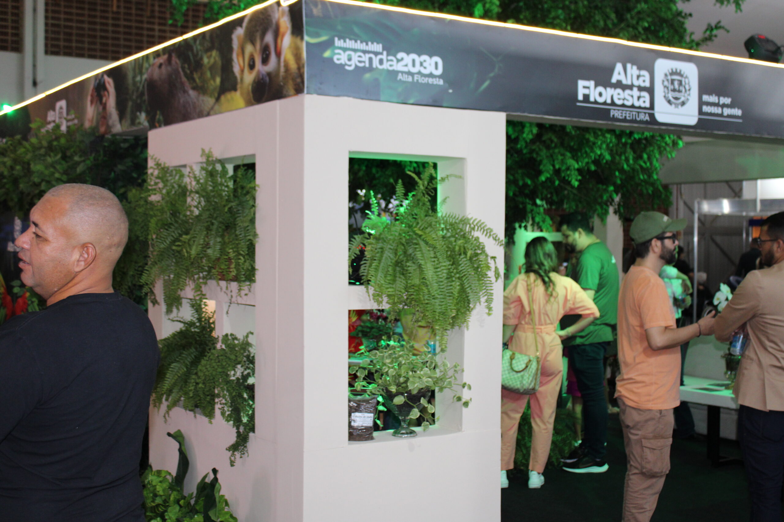 Alta Floresta presente na FIT Pantanal