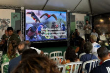 17º Encontro Brasileiro de Observação de Aves aconteceu nos dias 17 e 19 de maio na USP, SP (Divulgação)