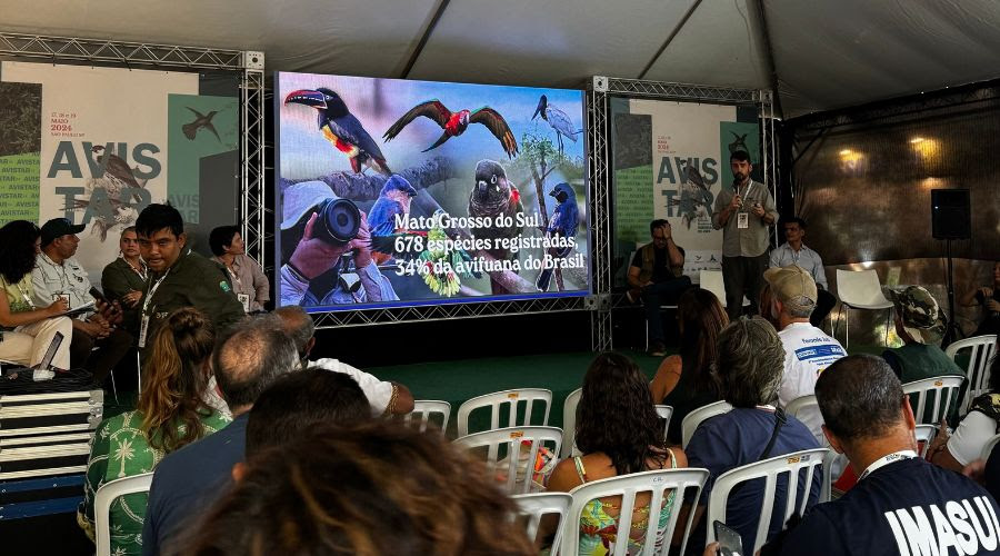 Embratur divulga birdwatching no Brasil com feira e famtour para estrangeiros 1 17º Encontro Brasileiro de Observação de Aves aconteceu nos dias 17 e 19 de maio na USP, SP (Divulgação)