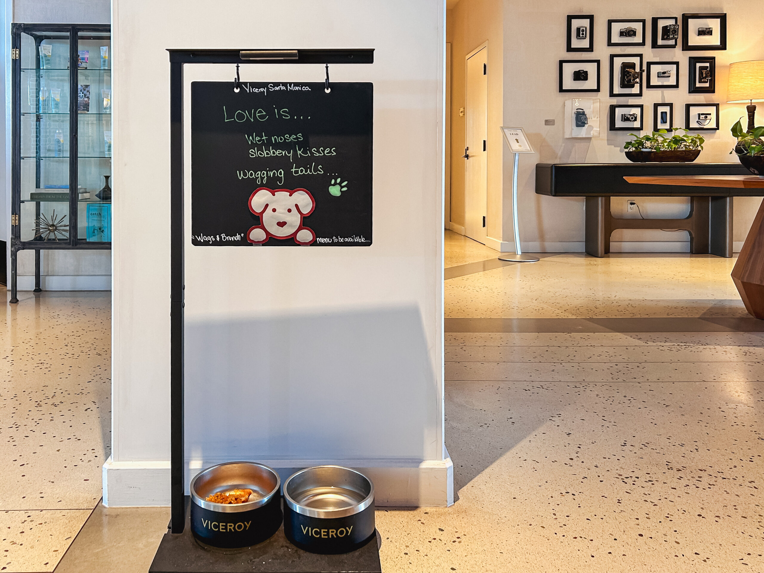 O Hotel Viceroy em Santa Monica é pet friendly O Hotel Viceroy em Santa Monica é pet friendly