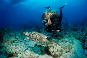 As Ilhas Cayman abrigam o Hall da Fama Internacional do Mergulho (Visite Ilhas Cayman/Divulgação)