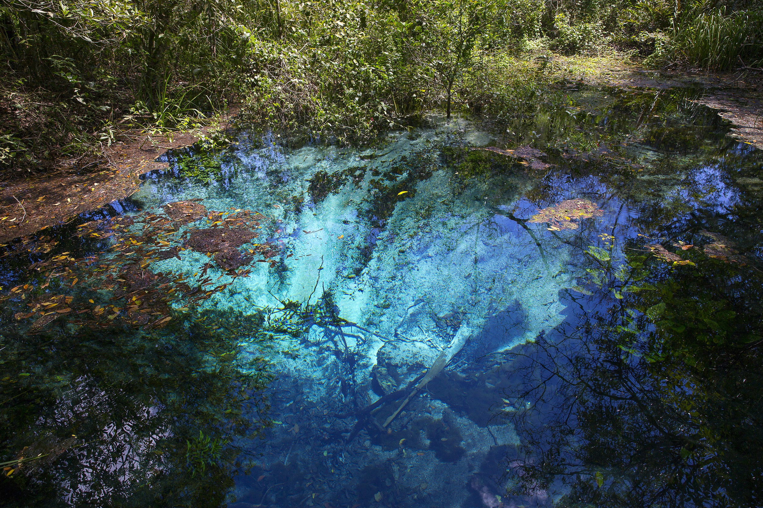 Conheça 10 passeios impactantes de Bonito (MS), a Capital Nacional do Ecoturismo 3 Rio Sucuri Flavio Andre 5 Conheça 10 passeios impactantes de Bonito (MS), a Capital Nacional do Ecoturismo