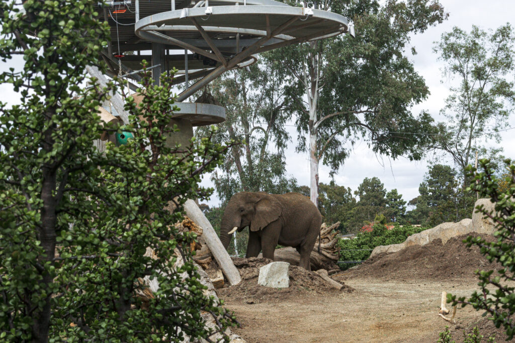 No zoologico há habitats que se assemelham ao de origem dos animais