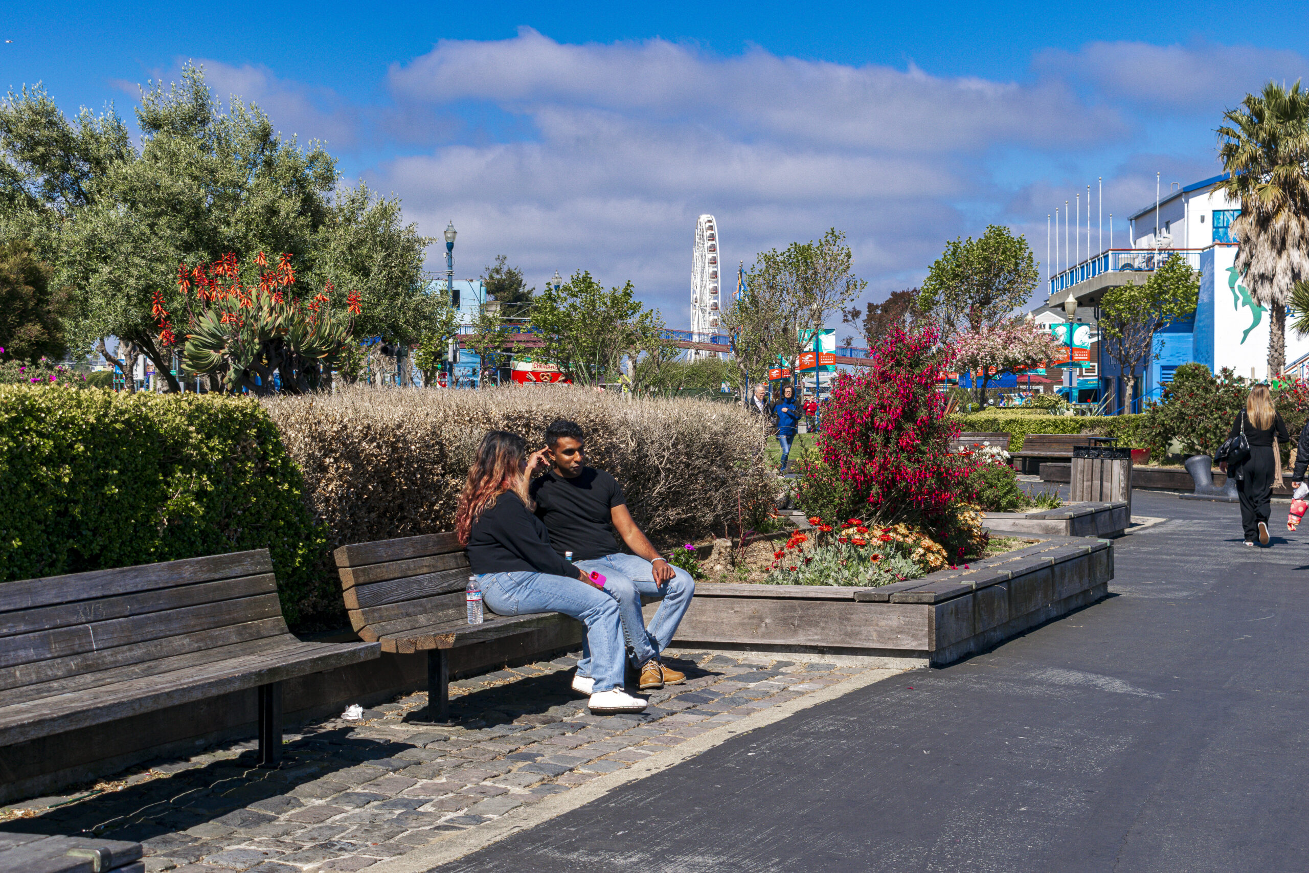 A área do Pier 39 pode ser bem romântica, principalmente na primavera A área do Pier 39 pode ser bem romântica, principalmente na primavera