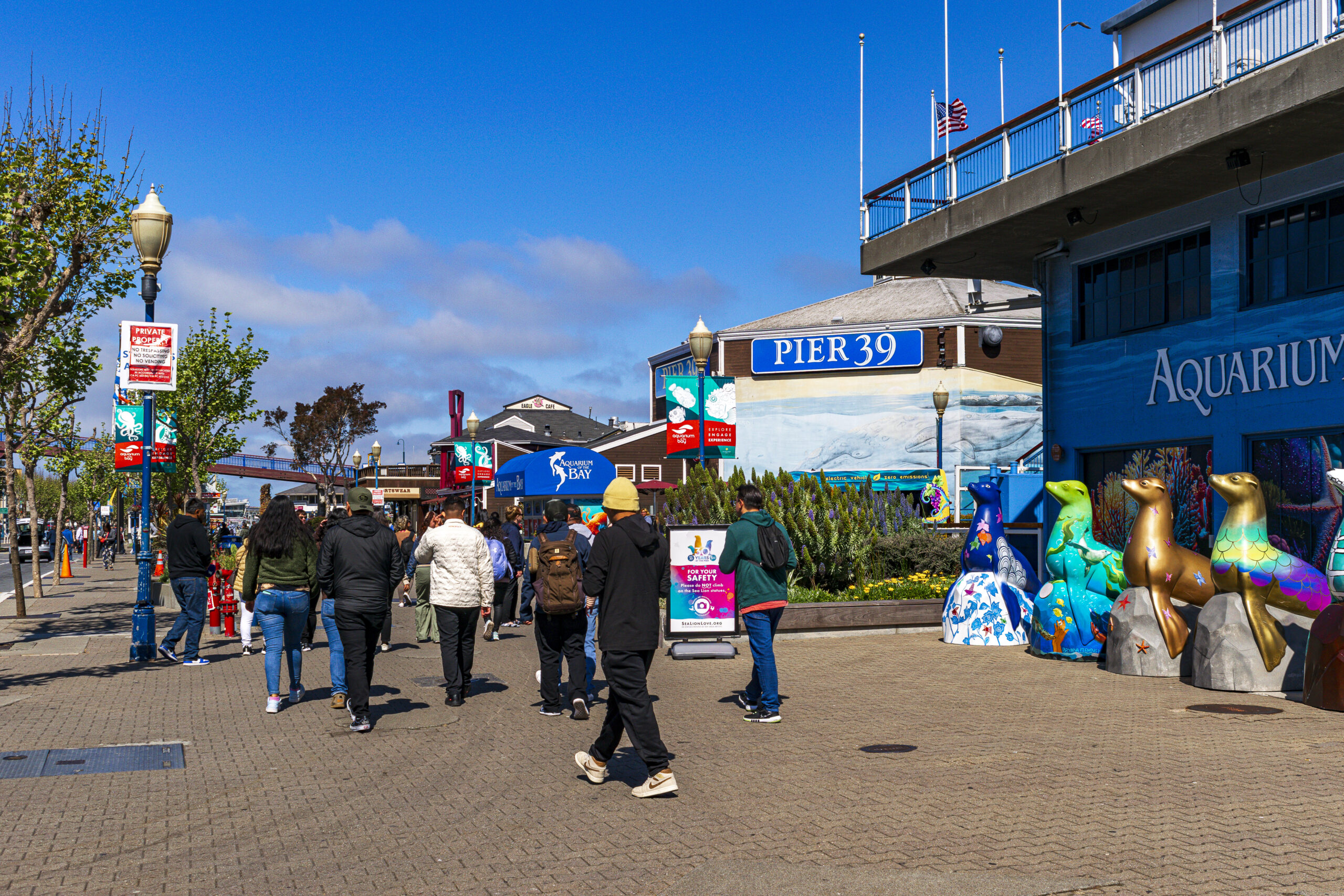 No Pier 39, diversas atrações esperam os visitantes No Pier 39, diversas atrações esperam os visitantes