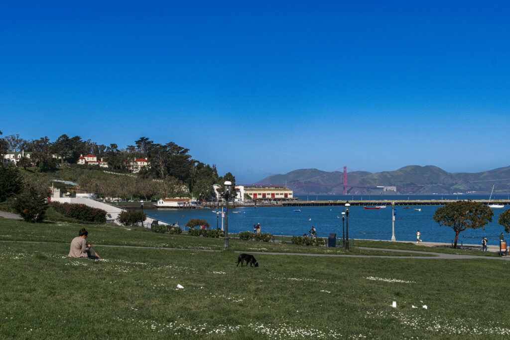 Praça Martin Garden