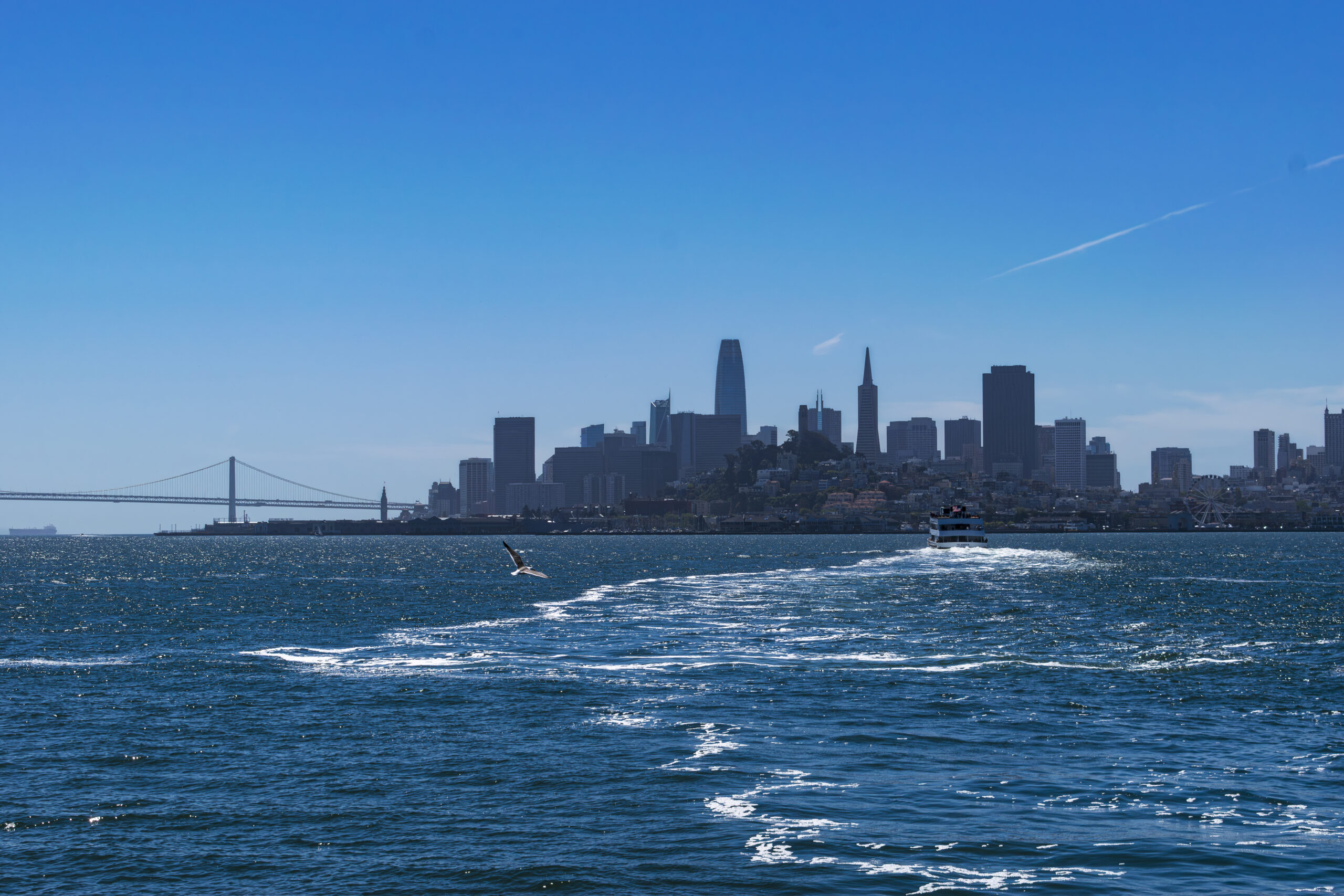 Skyline de San Francisco com a Ponte de San Francisco - Oakland Skyline de San Francisco com a Ponte de San Francisco - Oakland