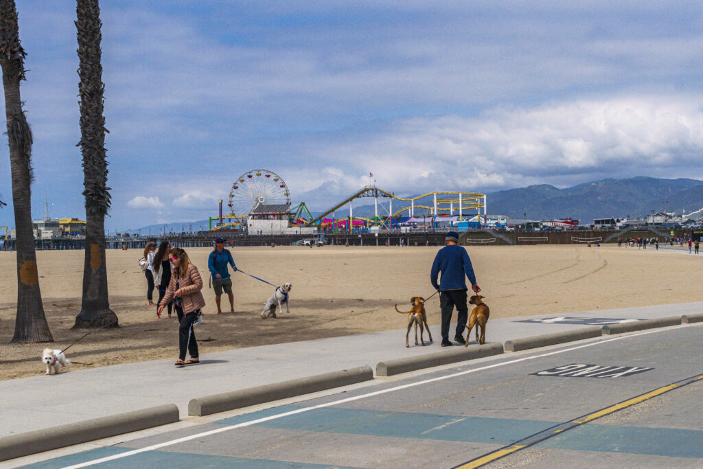 Moradores de Santa Monica levam seus animais de estimação para passear na praia