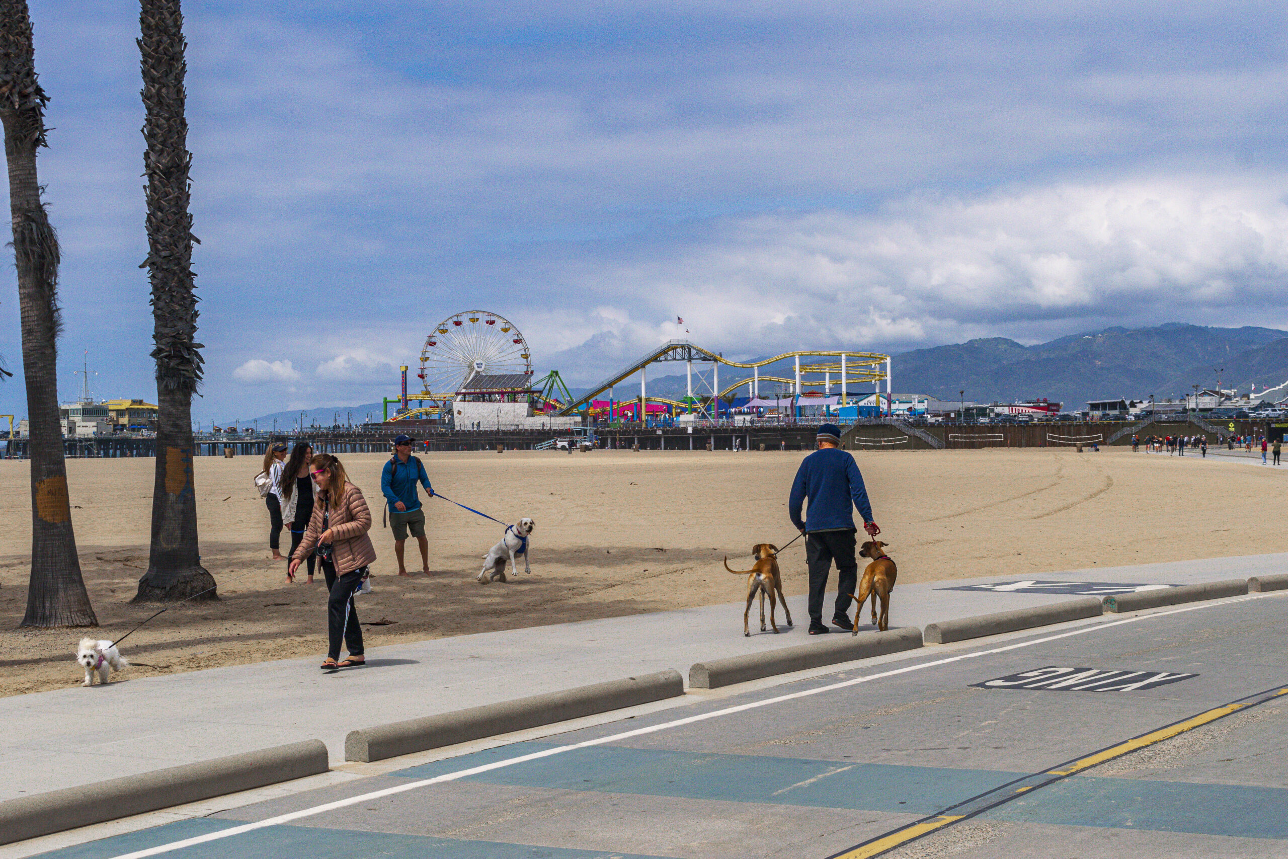 Moradores de Santa Monica levam seus animais de estimação para passear na praia Moradores de Santa Monica levam seus animais de estimação para passear na praia