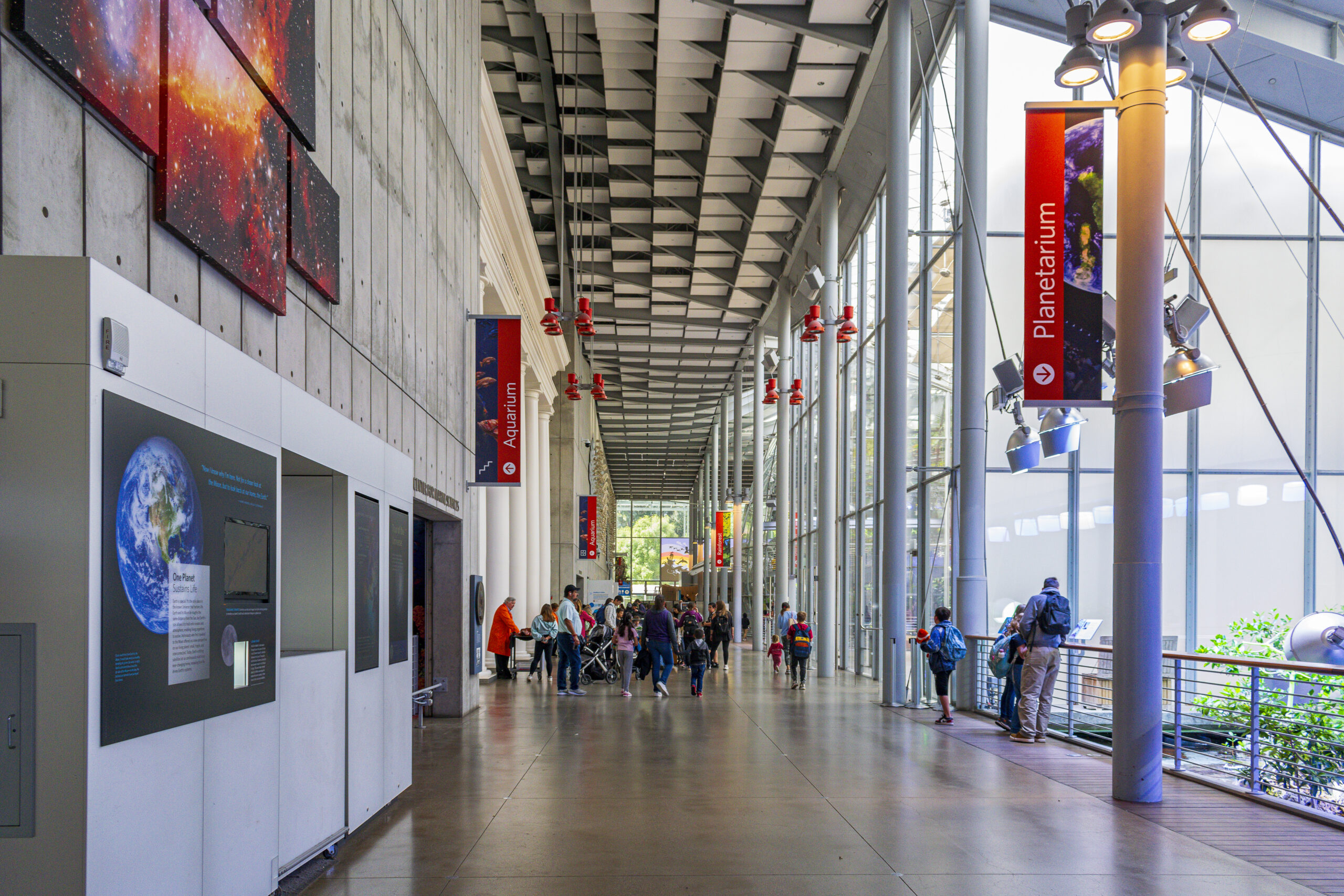 Interior da California Academy of Sciences Interior da California Academy of Sciences